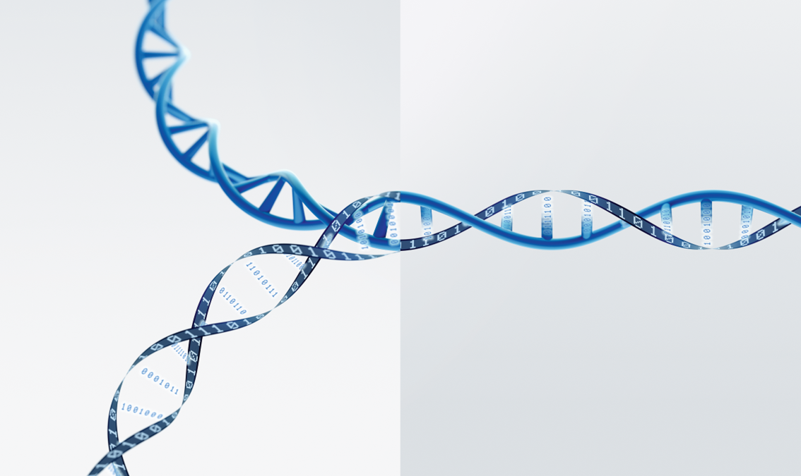 MT1 - Marketing Basics MT1/25