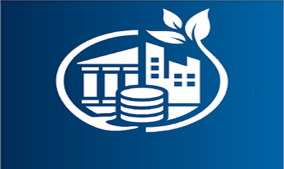 Sustainable Corporate Financing: Application 2025 1